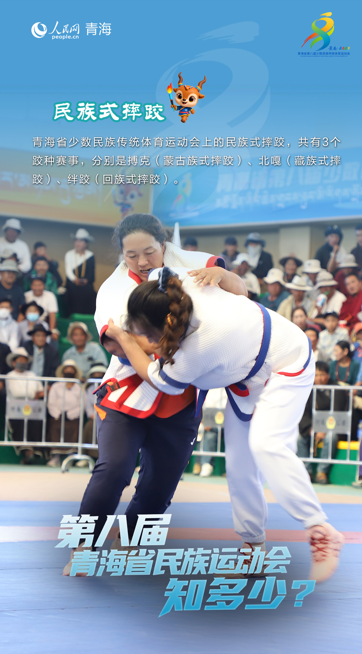 tenan, 别的冠军奖